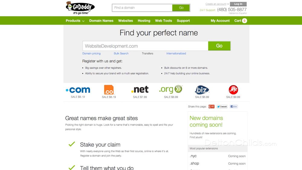 Purchasing Domain Names